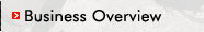 Business Overview